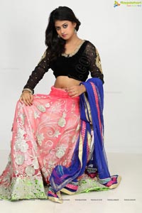 Indian Film Actress Megha Shree