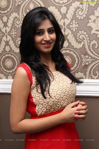 Actress Shamili