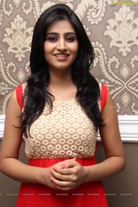 Actress Shamili