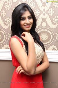 Actress Shamili