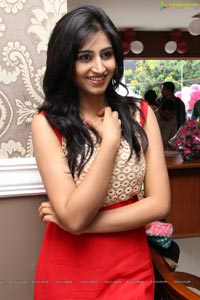 Actress Shamili