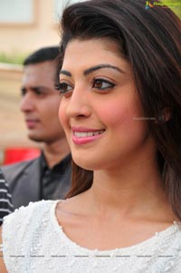 Tollywood Actress Praneetha