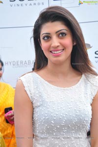 Tollywood Actress Praneetha