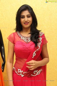 Shamili