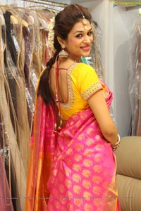 shradhadas-dusshera-collection-trisha