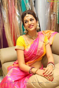 shradhadas-dusshera-collection-trisha