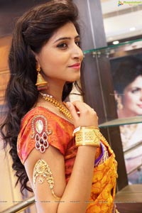 Shamili Sounderajan in Saree