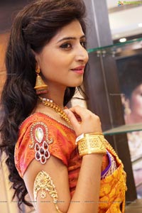 Shamili Sounderajan in Saree