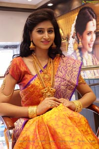 Shamili Sounderajan in Saree