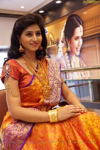 Shamili Sounderajan in Saree