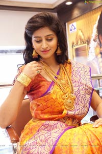 Shamili Sounderajan in Saree