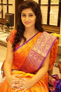 Shamili Sounderajan in Saree