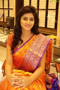 Shamili Sounderajan in Saree