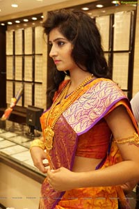 Shamili Sounderajan in Saree