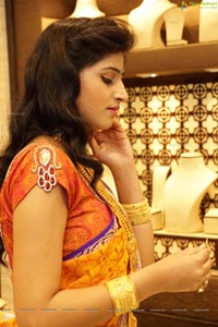 Shamili Sounderajan in Saree