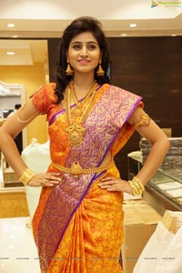 Shamili Sounderajan in Saree