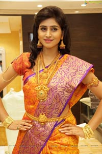 Shamili Sounderajan in Saree