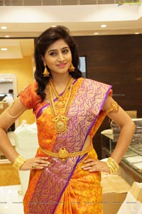 Shamili Sounderajan in Saree