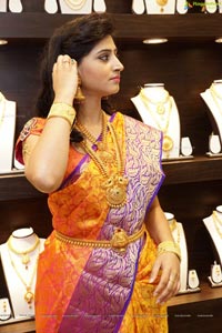 Shamili Sounderajan in Saree