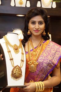 Shamili Sounderajan in Saree