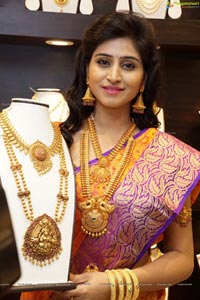 Shamili Sounderajan in Saree