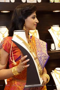 Shamili Sounderajan in Saree