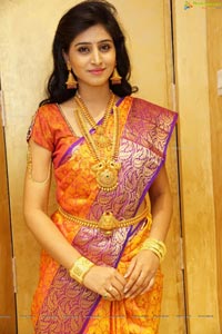 Shamili Sounderajan in Saree