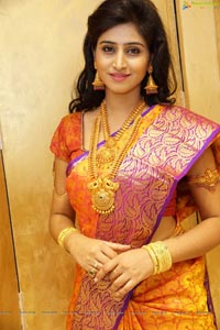 Shamili Sounderajan in Saree