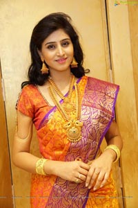 Shamili Sounderajan in Saree