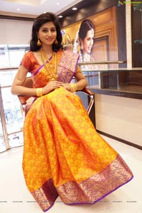 Shamili Sounderajan in Saree