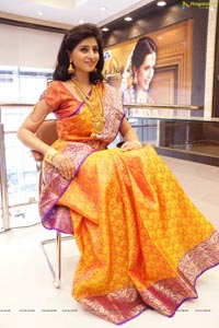 Shamili Sounderajan in Saree