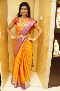 Shamili Sounderajan in Saree