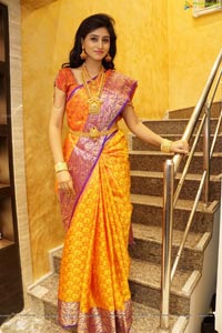 Shamili Sounderajan in Saree