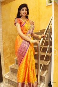 Shamili Sounderajan in Saree