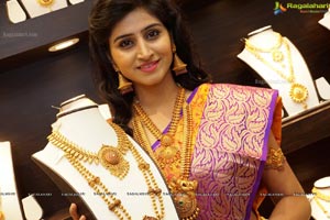 Shamili Sounderajan in Saree