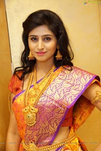 Shamili Sounderajan in Saree