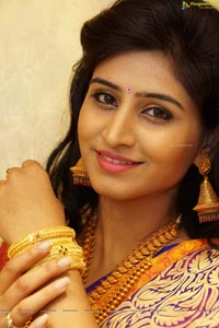 Shamili Sounderajan in Saree