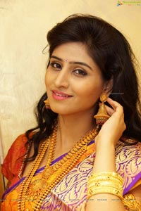 Shamili Sounderajan in Saree