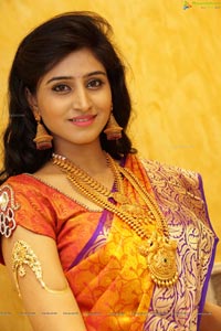 Shamili Sounderajan in Saree