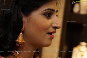 Shamili Sounderajan in Saree