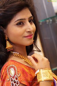 Shamili Sounderajan in Saree