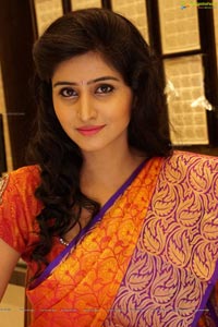 Shamili Sounderajan in Saree