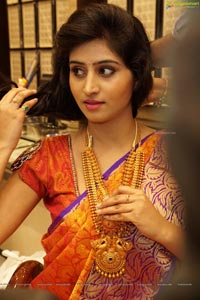 Shamili Sounderajan in Saree