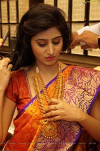 Shamili Sounderajan in Saree