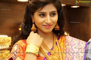 Shamili Sounderajan in Saree