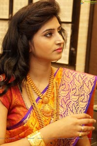 Shamili Sounderajan in Saree