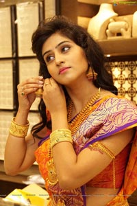 Shamili Sounderajan in Saree