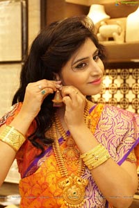 Shamili Sounderajan in Saree