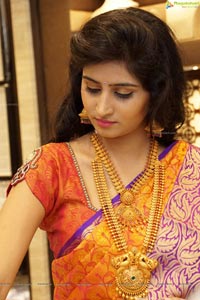 Shamili Sounderajan in Saree