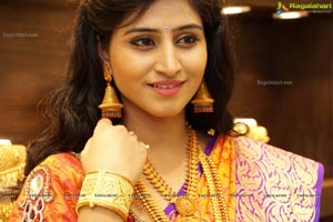 Shamili Sounderajan in Saree